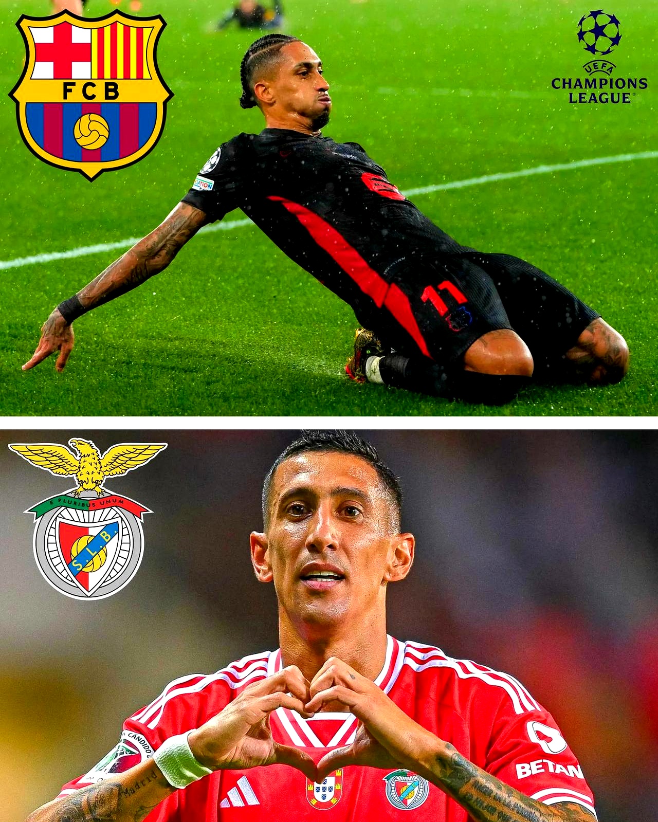 久诚为什么被禁赛一年-九游下载安装